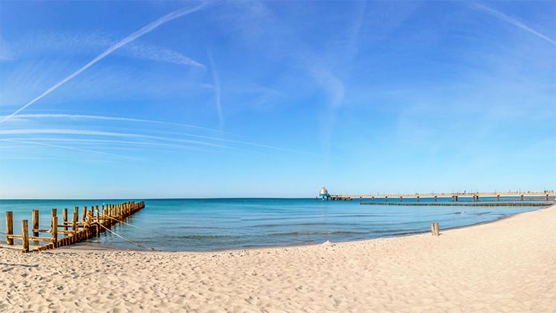 Halv�n Fischland-Darss-Zingst & tranornas rastomr�de