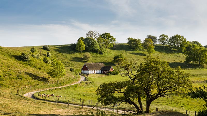 �sterlen - vin, mat & kultur