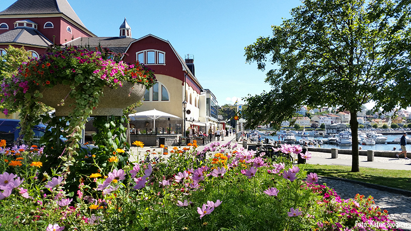 Salta st�nk i Bohusl�n